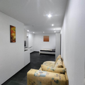Modernes Einzimmer Apartment ,Monteurapartment